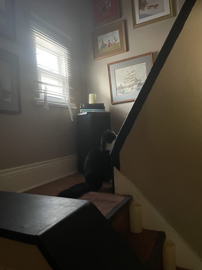 Photo of Adam's room