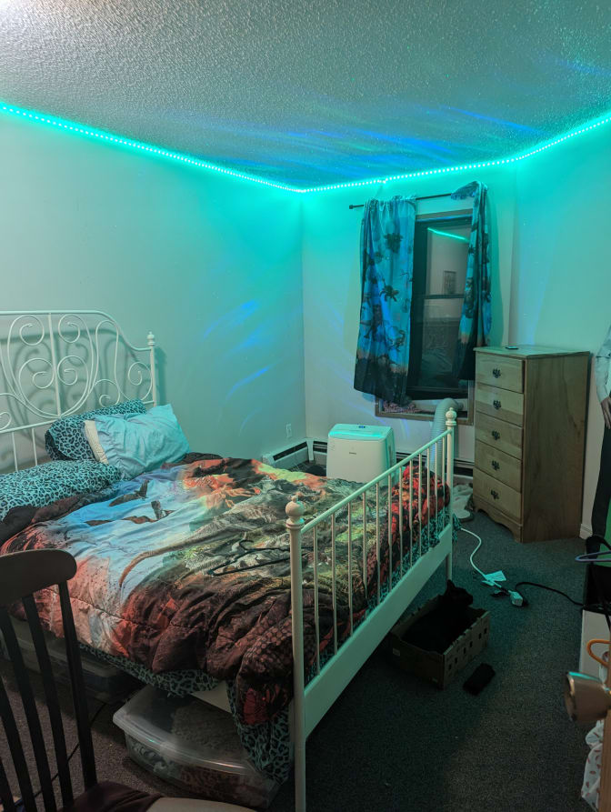 Photo of Sophie Moon's room
