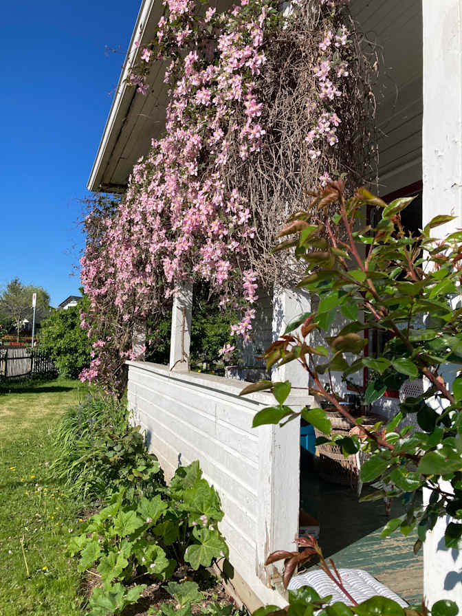 Bonnie Rogers's room