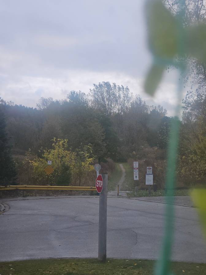 Photo of Tanya's room