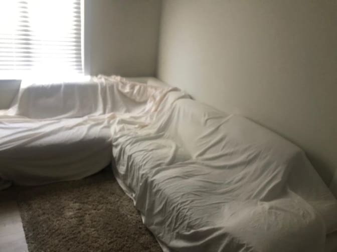 Adolfo Ortega's room