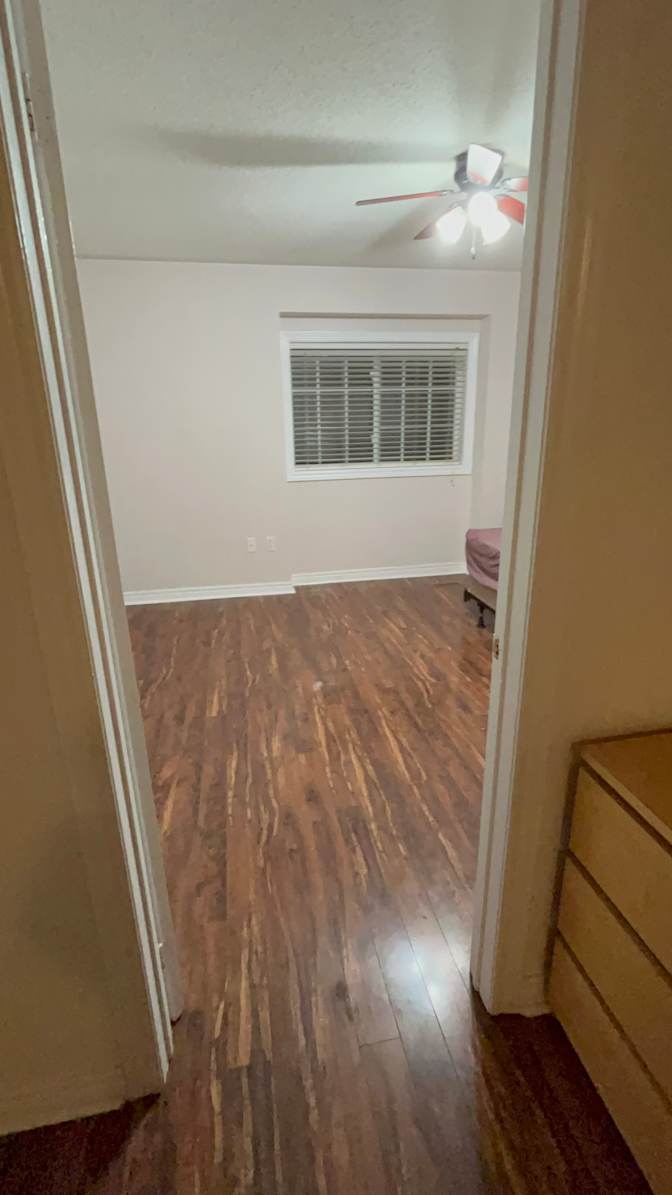 Photo of JAYDEEPSINH GOHIL's room