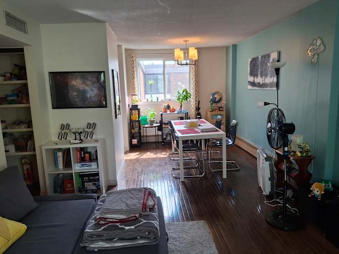 Photo of Alex Mort's room