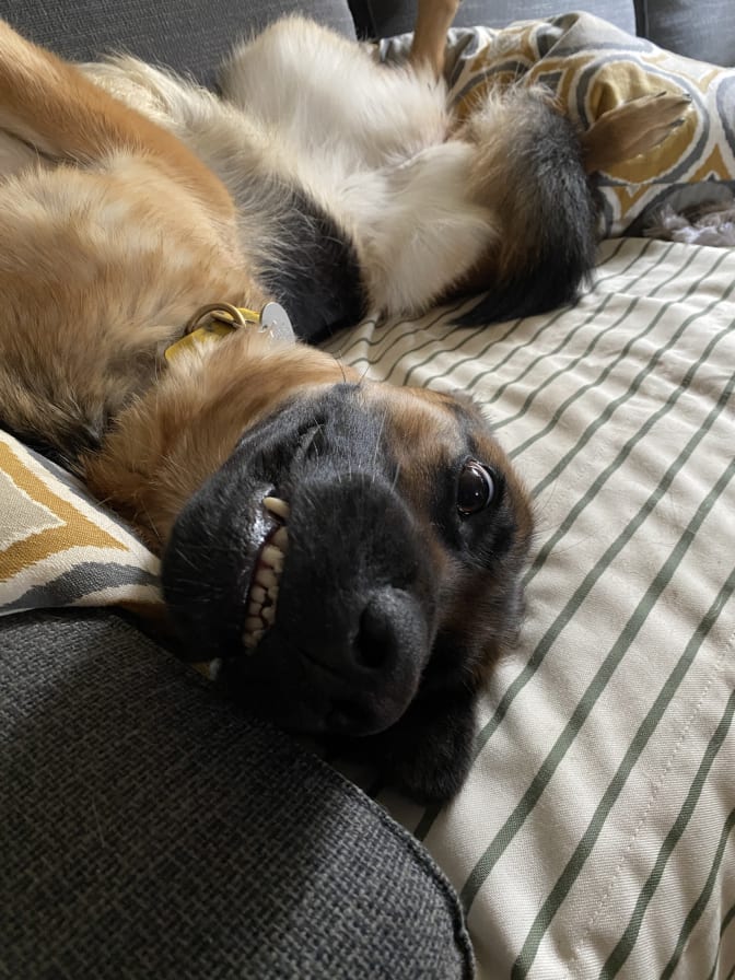 Stephen Mader's room