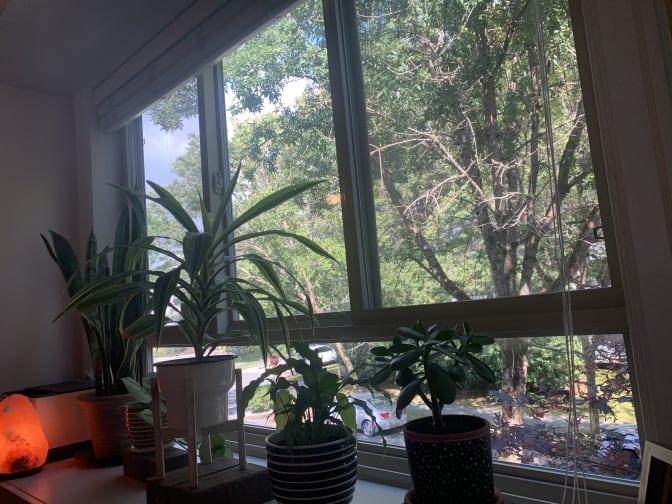 Photo of Vincent's room