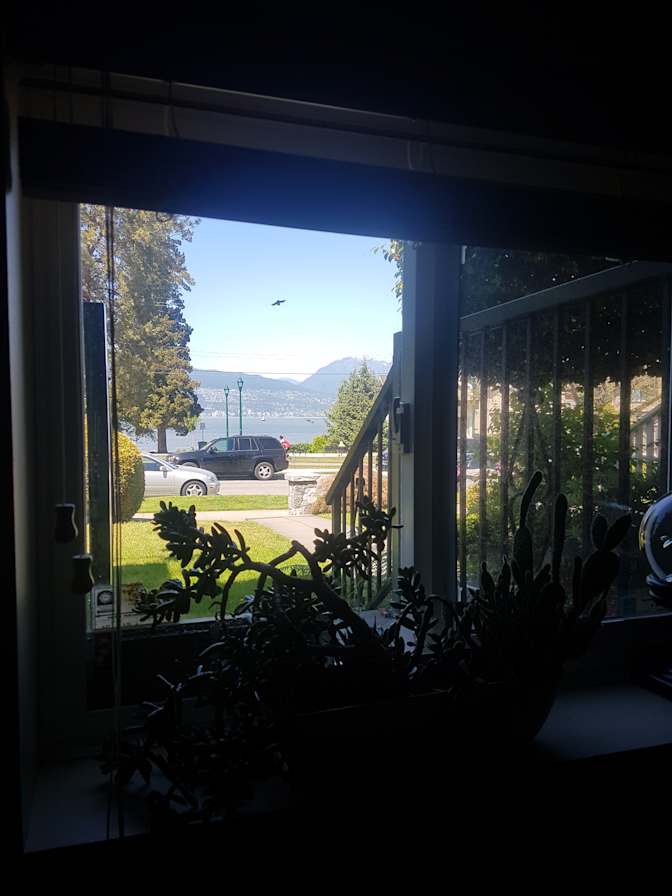 Photo of David's room