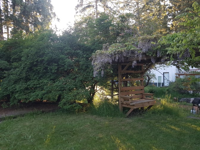 Photo of Isabelle's room