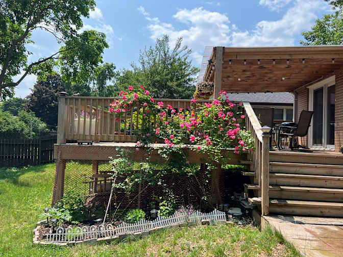 Photo of Linh's room