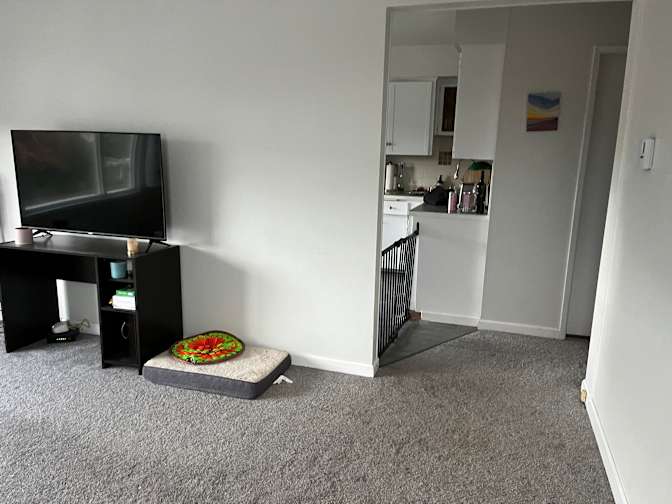 Photo of Milana's room