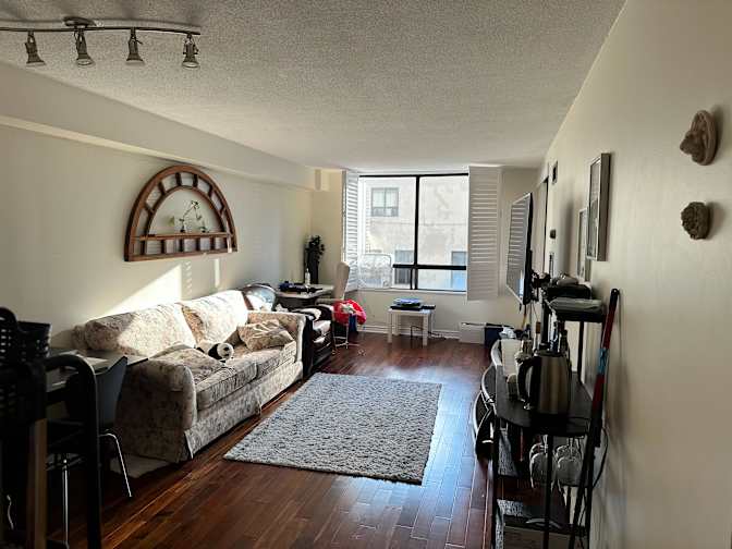 Photo of Hanneke de Roo's room