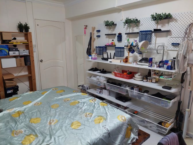 Photo of ALEX LUO's room