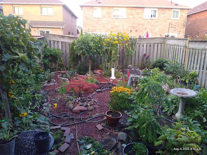 Photo of Ranjith's room