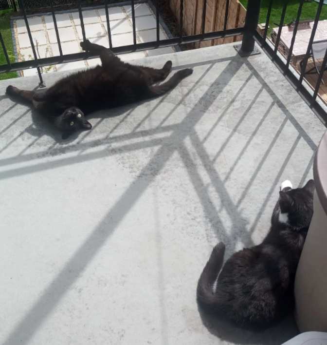 Photo of Anna's room