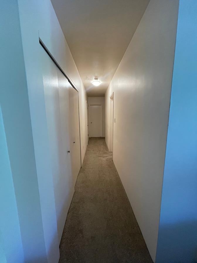 Photo of Halle's room