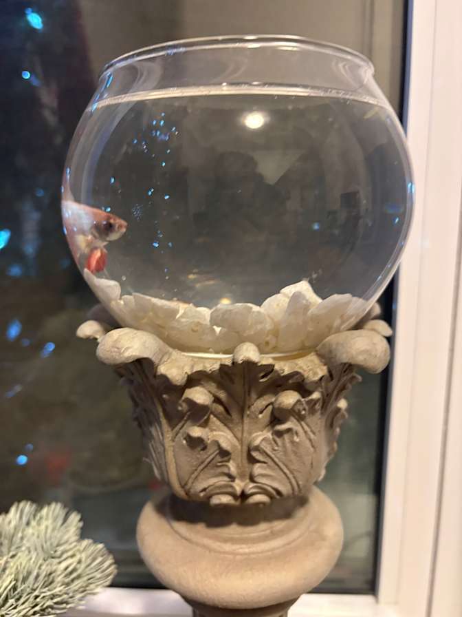 Rapha and Amanda's room