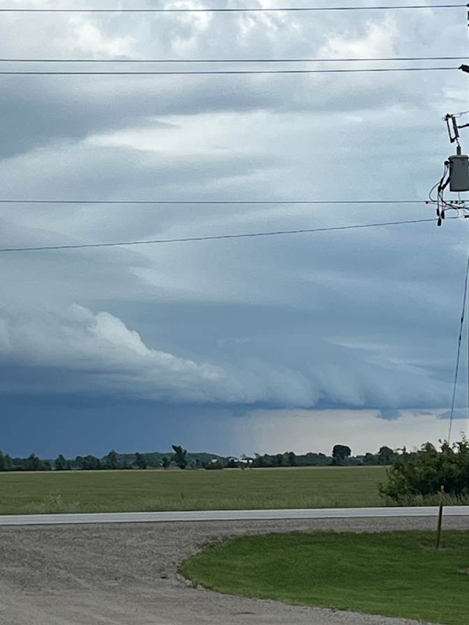 Lynne meloche's room