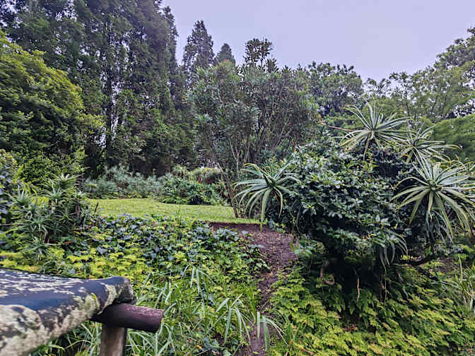 Photo of Nduduzo's room