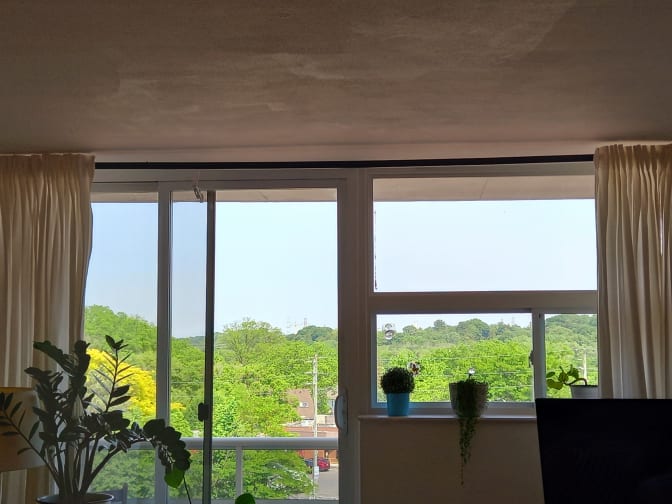 Cynthia Harris's room