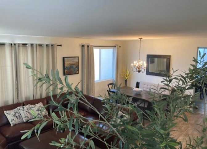 Photo of Ozzie's room