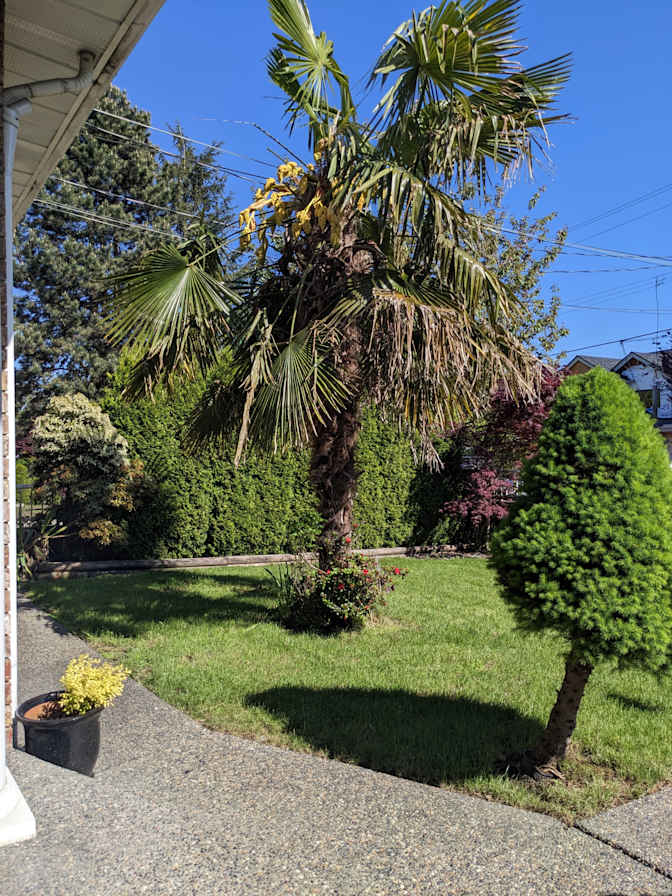 Photo of Rachel's room