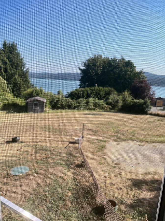 Rebecca Campbell's room