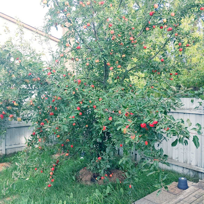 Photo of Sujith's room
