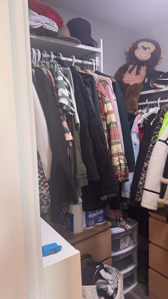 Nicolle Pereira's room