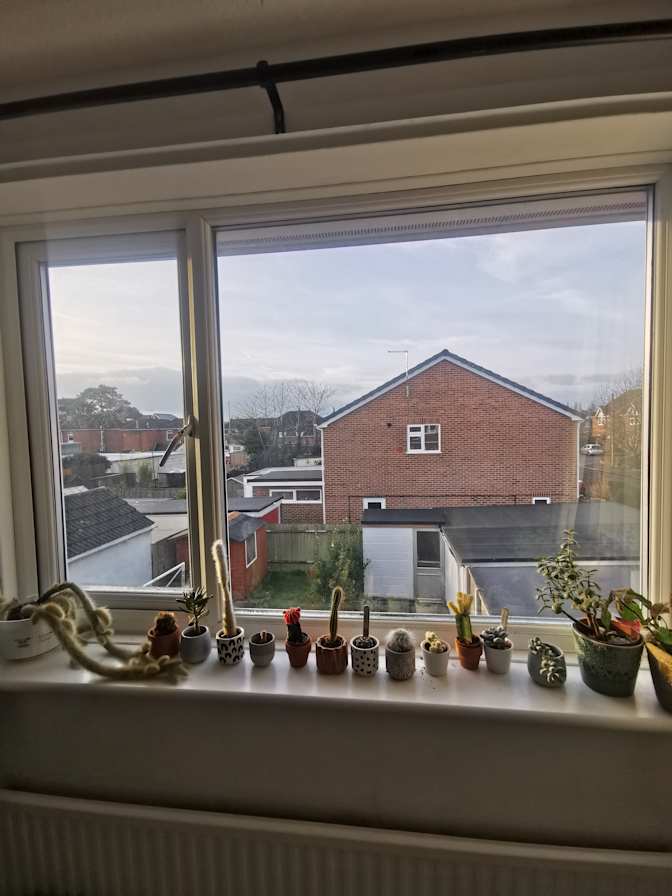 Photo of Taylor's room