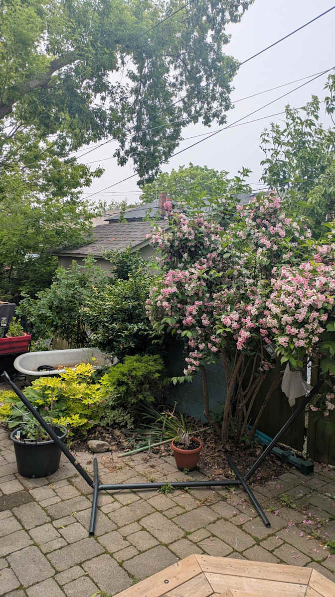 Gordon MacNeill's room