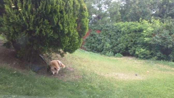 Photo of Dave's room