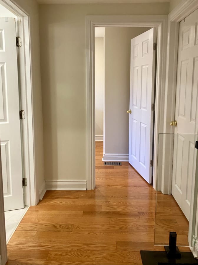 Rojina Bagheri's room