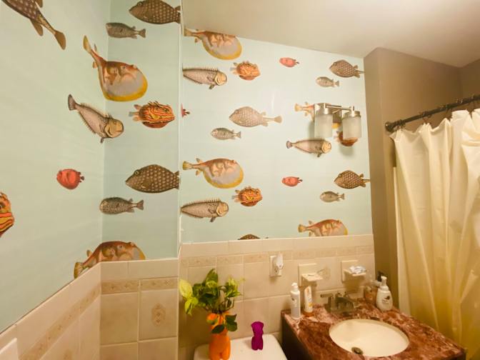 Photo of Cici's room