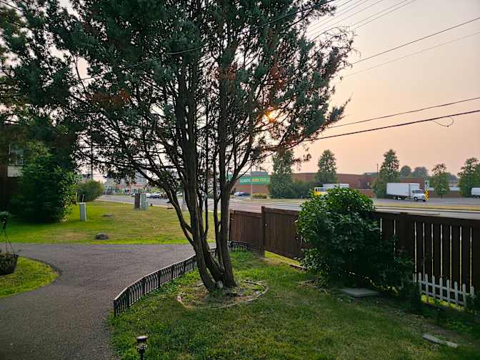 Sayantani Dhar's room