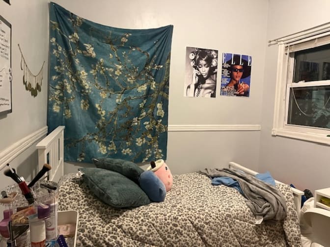 Photo of Megan's room