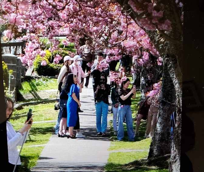 Photo of Danielle's room