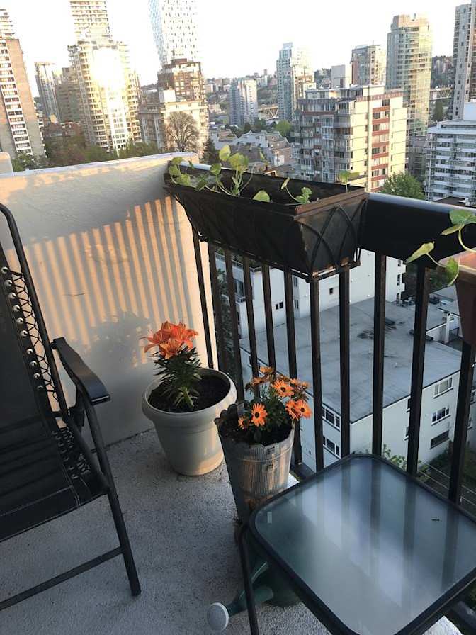 Photo of Chandler's room