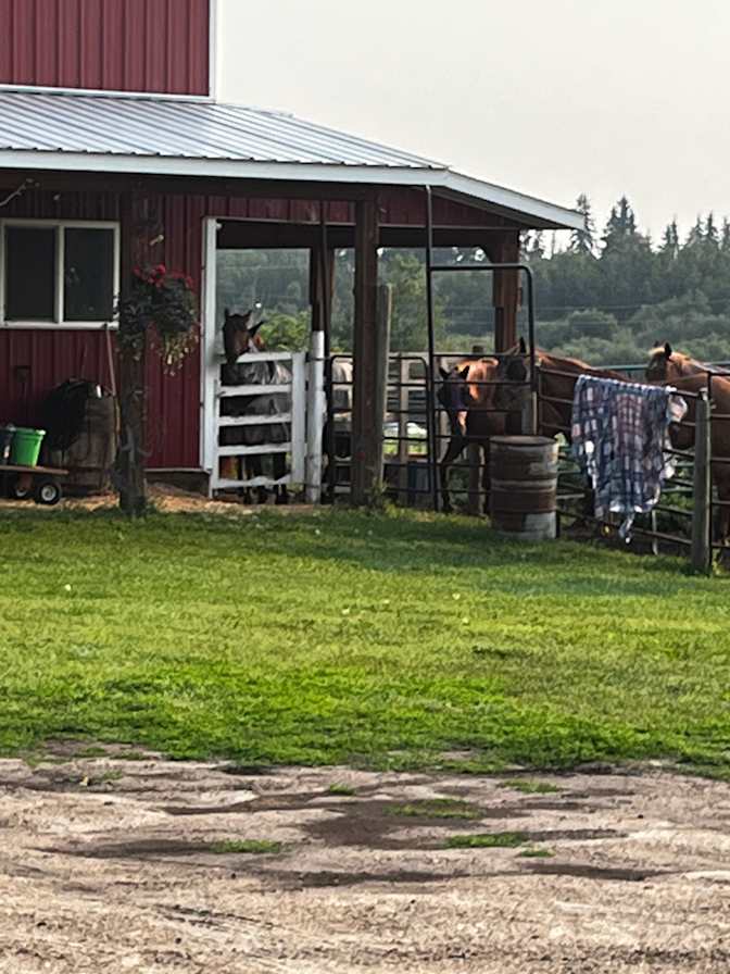 Photo of Doris Broderick's room