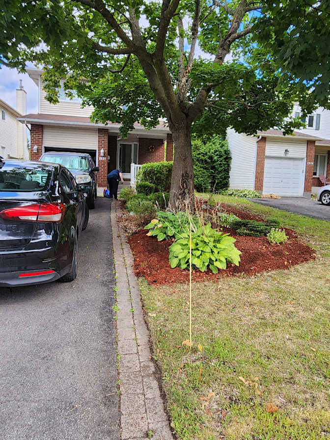 Susan Mary Lapierre's room