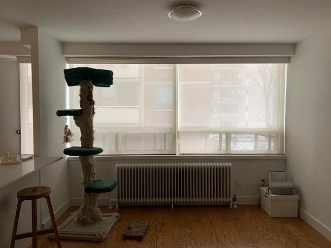 Colleen Marie Webber's room