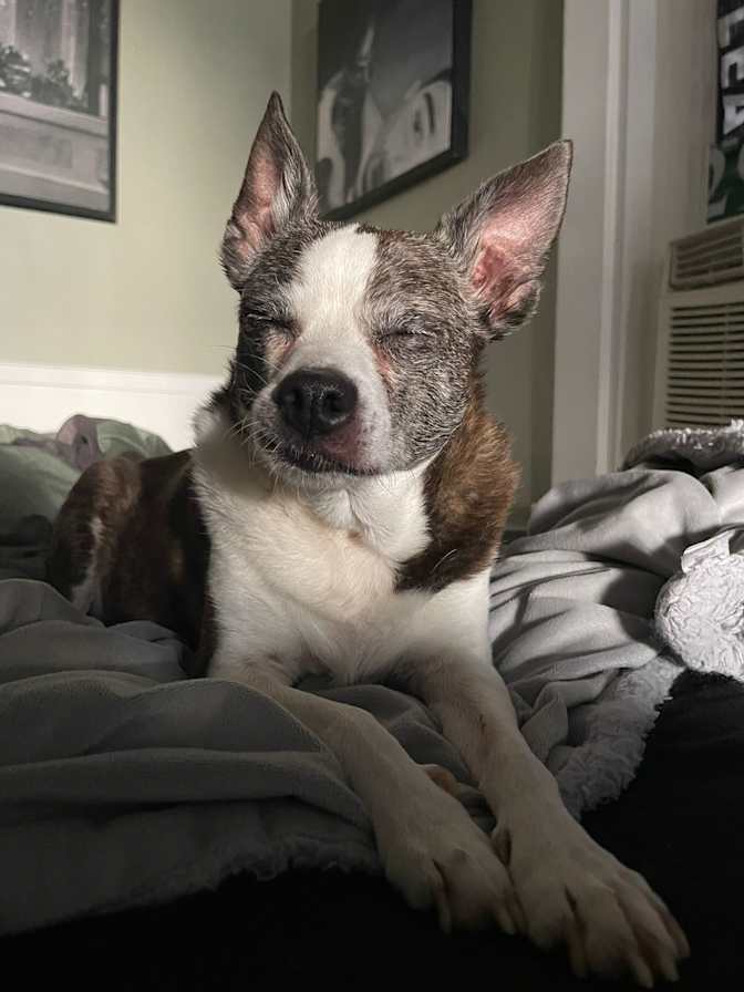 David Restrepo's room