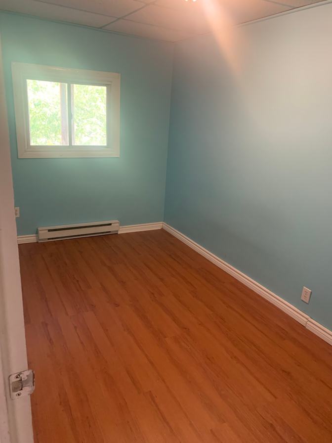 Photo of Brick on Brick's room