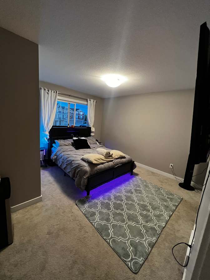 Photo of Dorsa's room