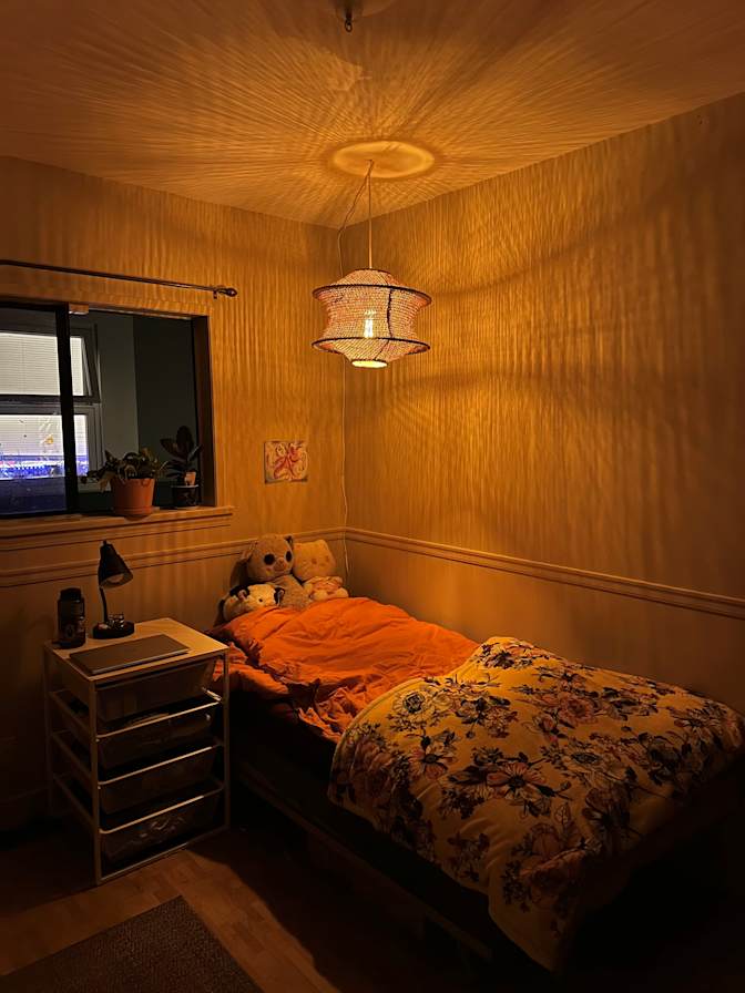 Photo of Alani's room