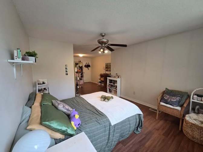 Tony and Eman's room