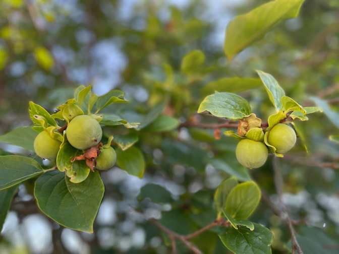 Photo of Christ's room