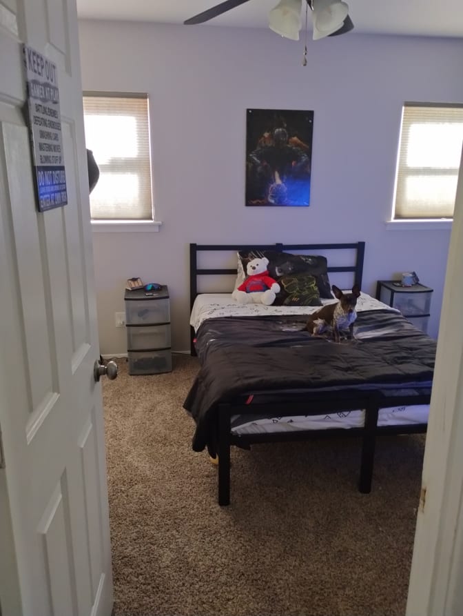 Photo of Barina's room