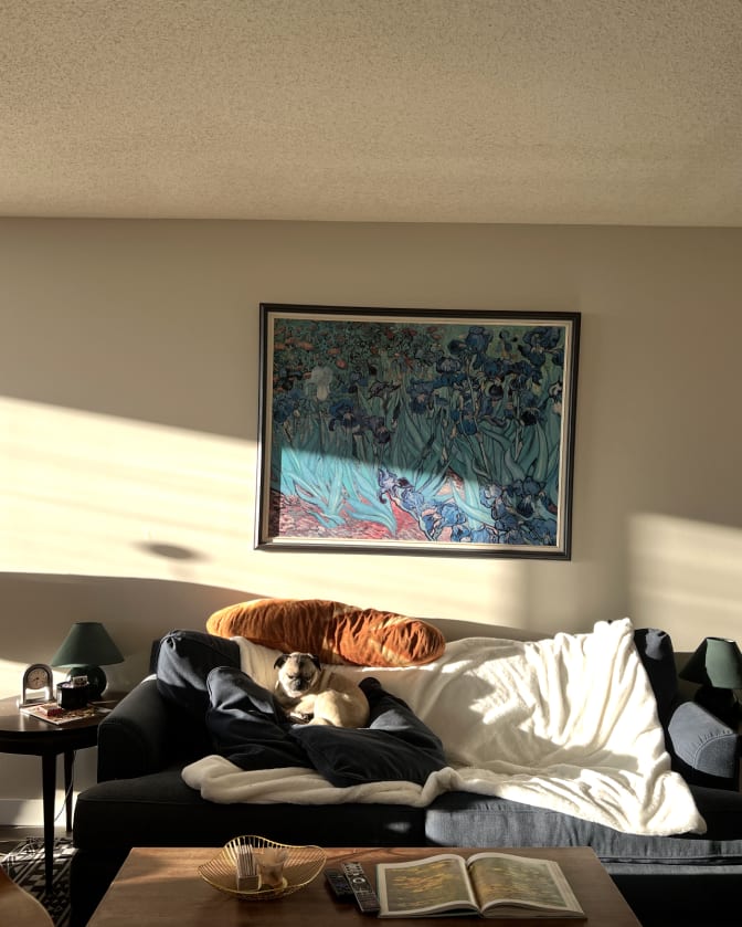 Photo of Amelia's room