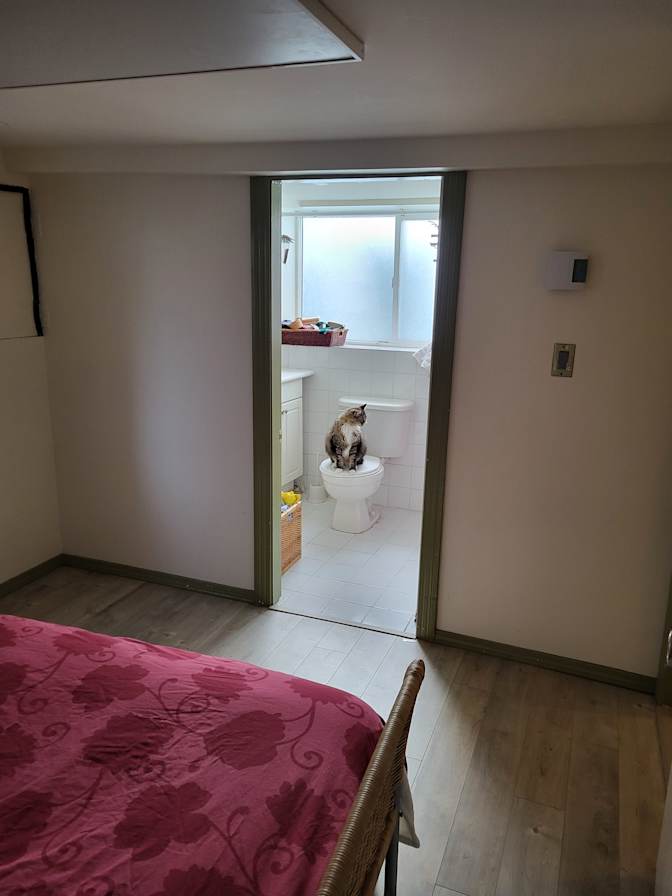 Photo of Sophia's room