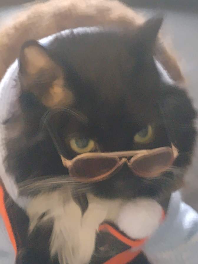 Photo of Donna Nelson's room