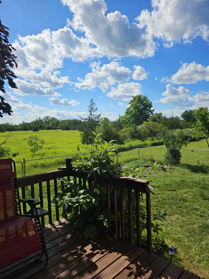 IVY-ROSE KENNEDY's room